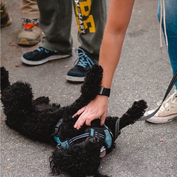 Meet your Posher, Courtney - Picture 1 of 1